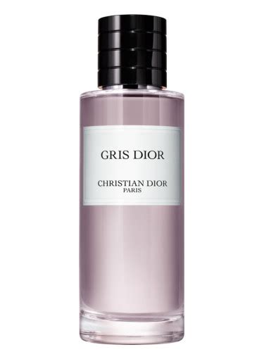 dior gris homme